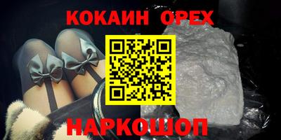 стаф Дубна
