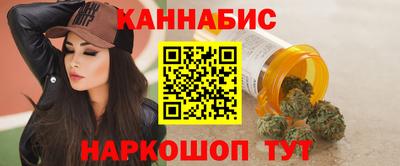 стаф Дубна