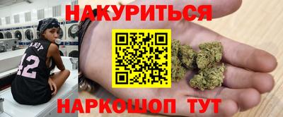 стаф Дубна