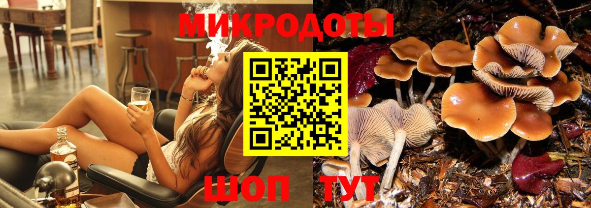 Псилоцибиновые грибы Psilocybe  купить наркотики цена  Лысьва  Вход с VPN 